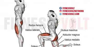 Transform Your Legs: Master the Barbell Lunge for Strength