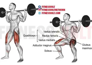 Barbell Squat: Master the Move for Stronger Legs and Glutes