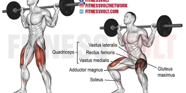 Barbell Squat: Master the Move for Stronger Legs and Glutes