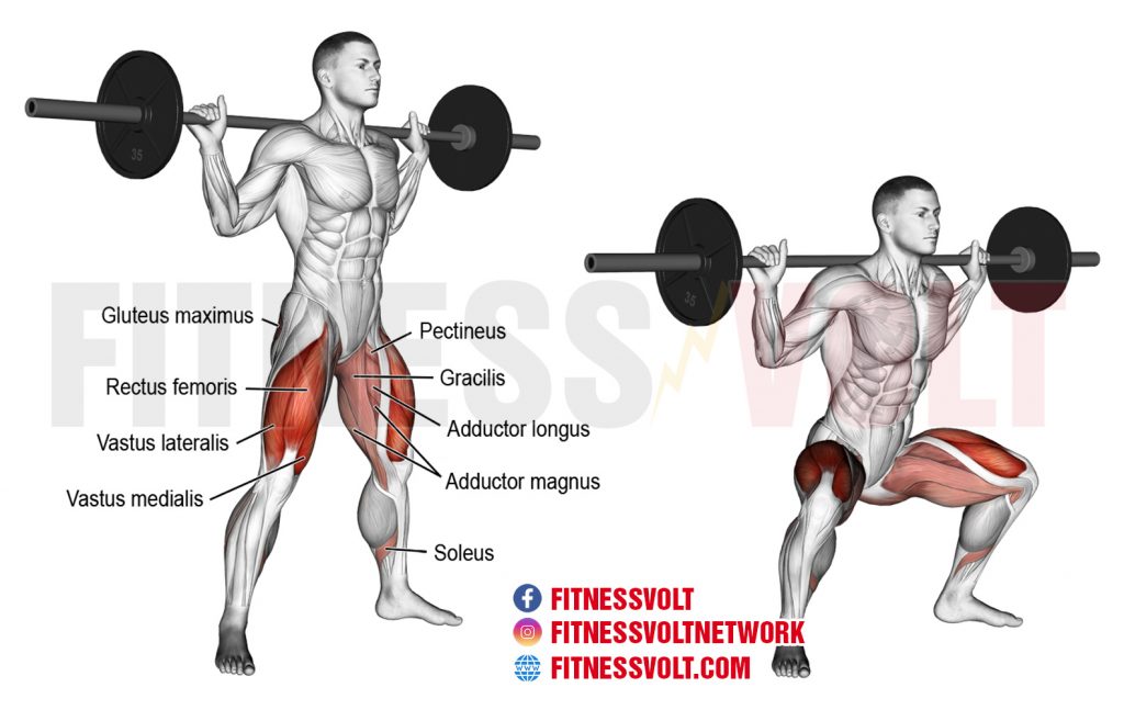 Barbell Sumo Squat Legs Fitness Volt