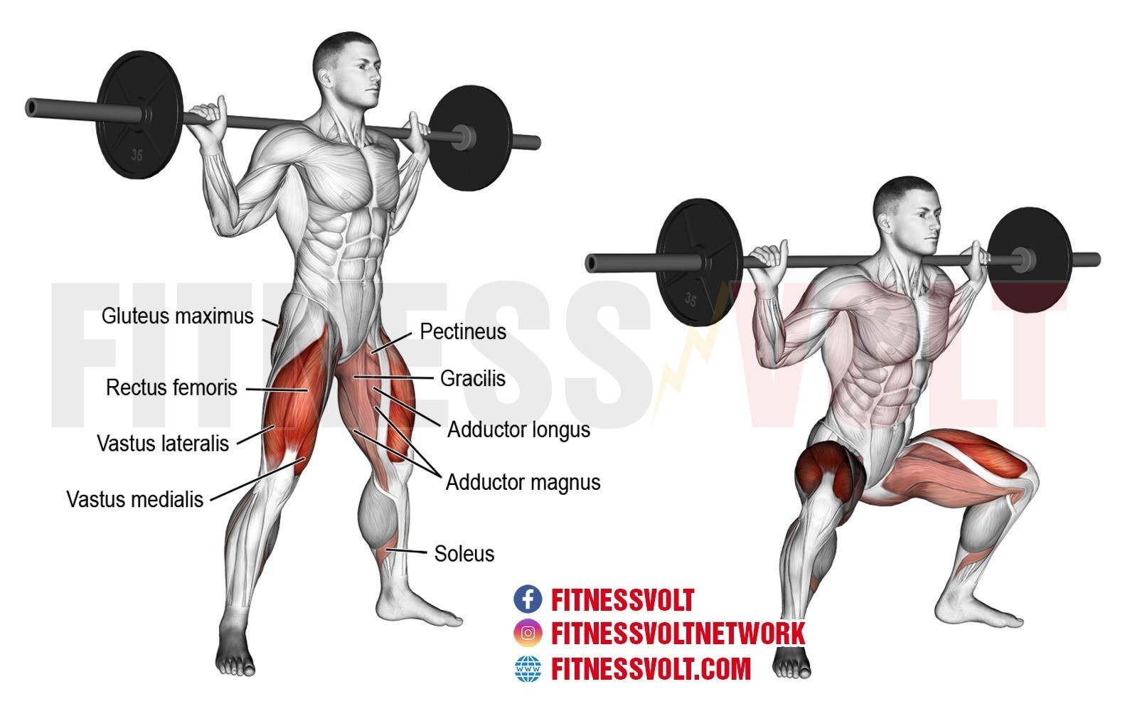 How To Do The Sumo Squat Sumo Squat Correct Form Benefits 