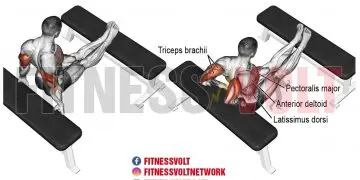 Bench Dip: Target Your Triceps and Build Upper Body Strength