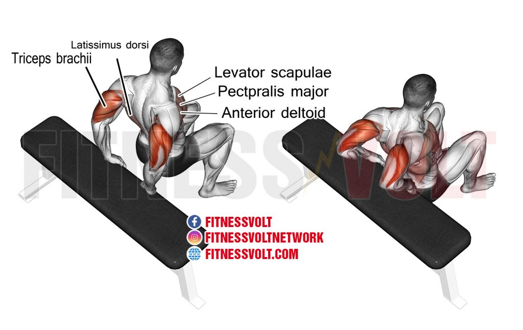 Bent Knee Bench Dip Triceps Exercise Guides And Videos Fitness Volt 0677