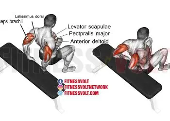 Transform Your Triceps: Bent-Knee Bench Dip Guide