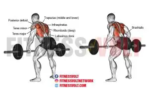 Bent-Over Barbell Row