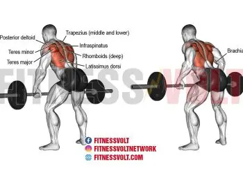 Bent-Over Barbell Row