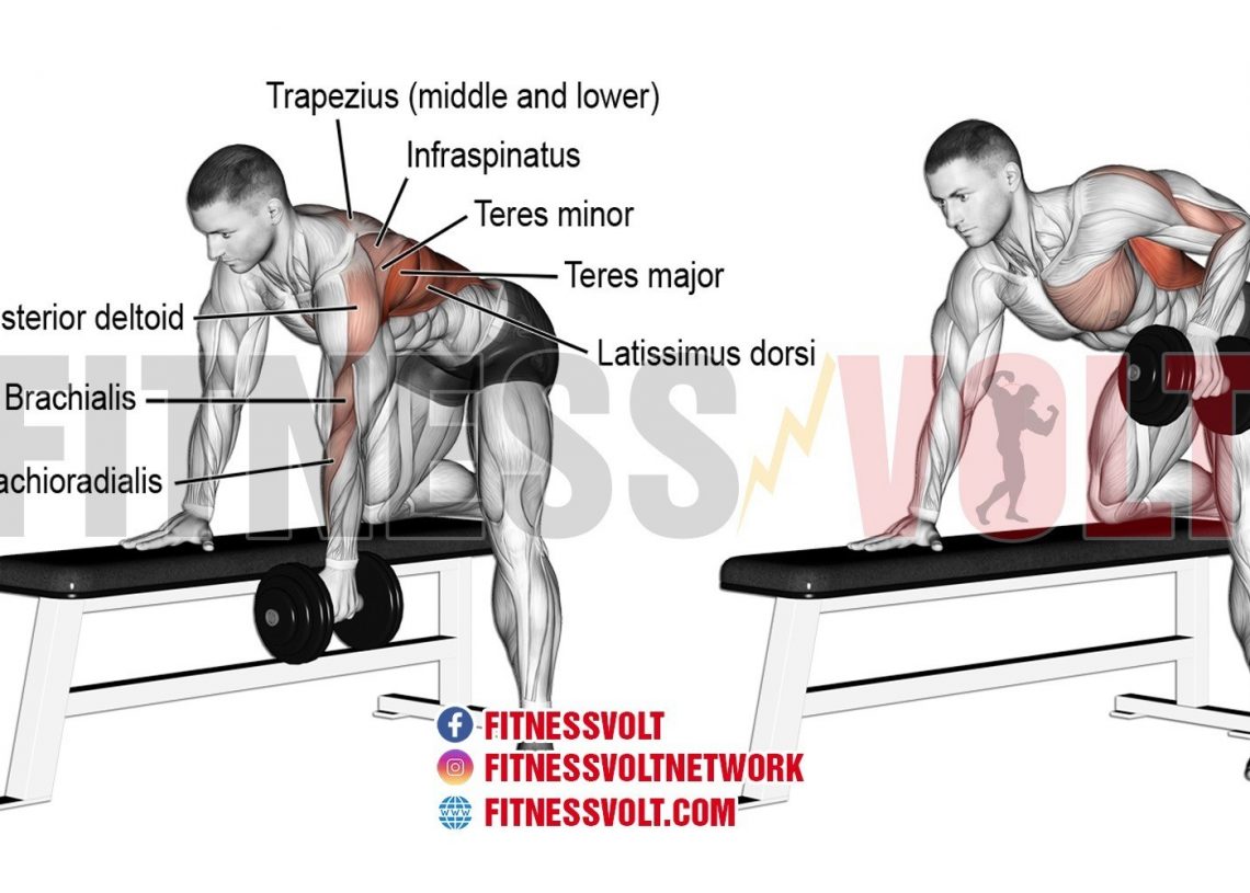 High Cable Cross-over (Chest) – Fitness Volt