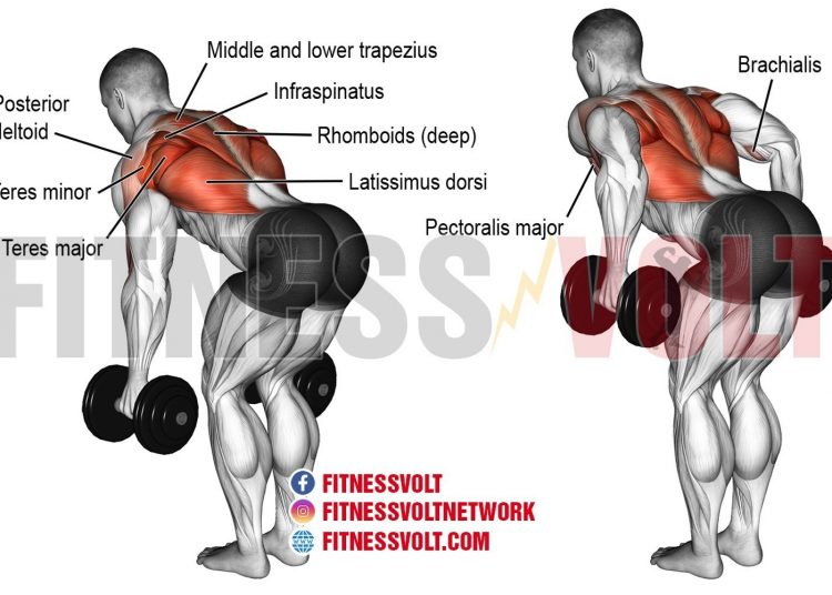 Dumbbell Cuban Rotation (external Shoulder Rotator) – Fitness Volt