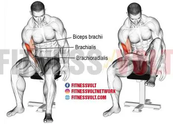 Maximize Gains: Bicep Leg Curl for Stronger Arms & Legs