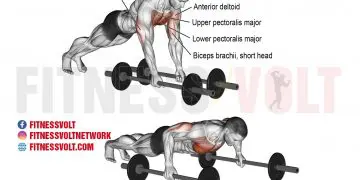 Bodyweight Fly: Target Your Chest and Arms for Maximum Gains
