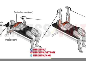Cable Bench Press: Target Your Chest, Triceps, and More!