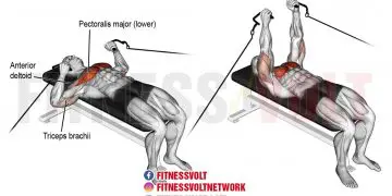 Cable Bench Press: Target Your Chest, Triceps, and More!