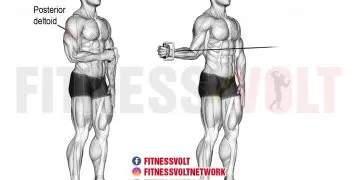 Cable External Rotation