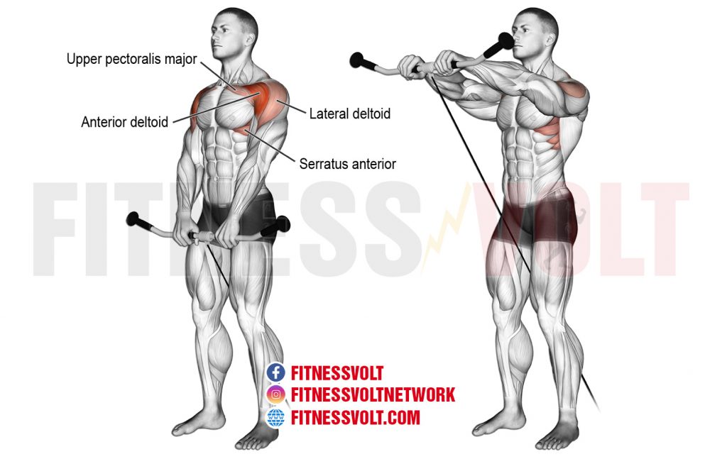 Cable Front Raise (Shoulders) Fitness Volt