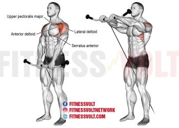 Cable Front Raise: Target Your Shoulders for Optimal Strength