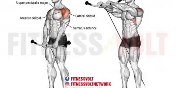 Cable Front Raise: Target Your Shoulders for Optimal Strength