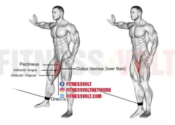 Cable Hip Adduction: Target Your Inner Thighs Effectively!