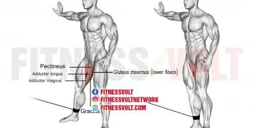 Cable Hip Adduction: Target Your Inner Thighs Effectively!