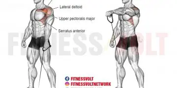 Cable One-Arm Front Raise: Target Your Shoulders & Core!