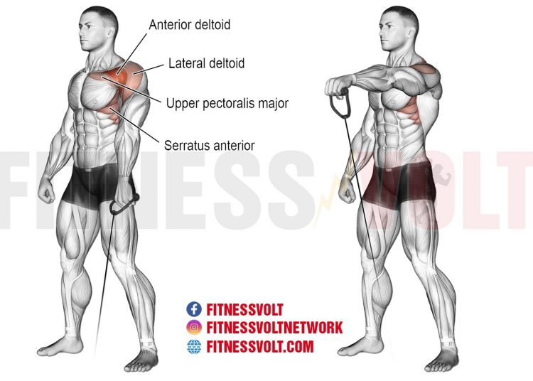 High Cable Cross-over (Chest) – Fitness Volt