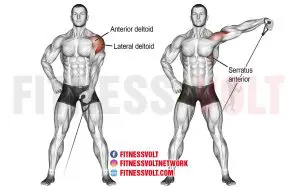 Cable Lateral Raises