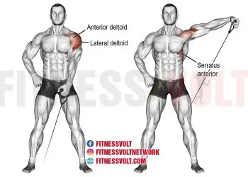 Cable Lateral Raises