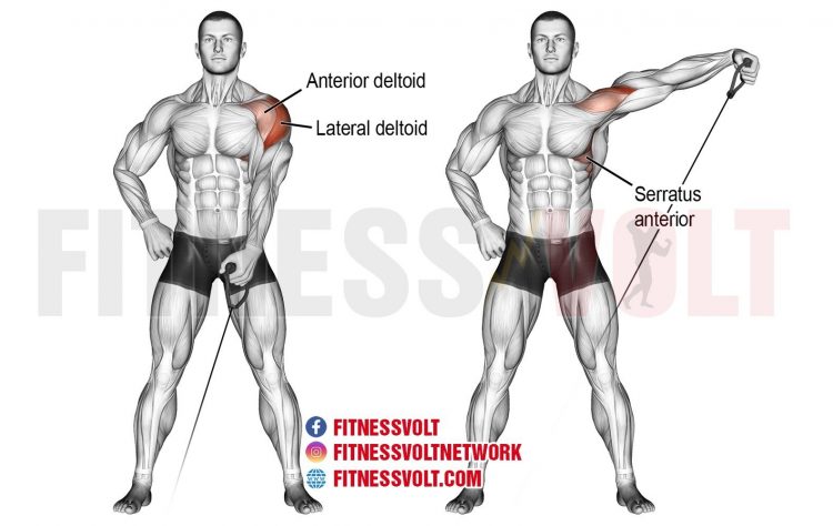 Cable Lateral Raises