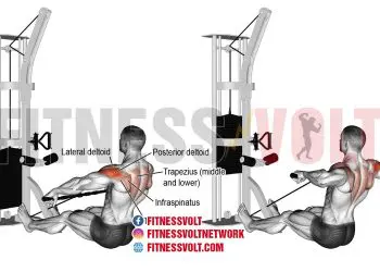 Cable Rear Delt Row: Target Your Posterior Deltoids & More!