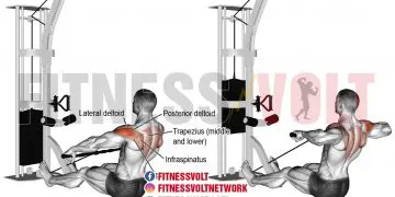 Cable Rear Delt Row: Target Your Posterior Deltoids & More!