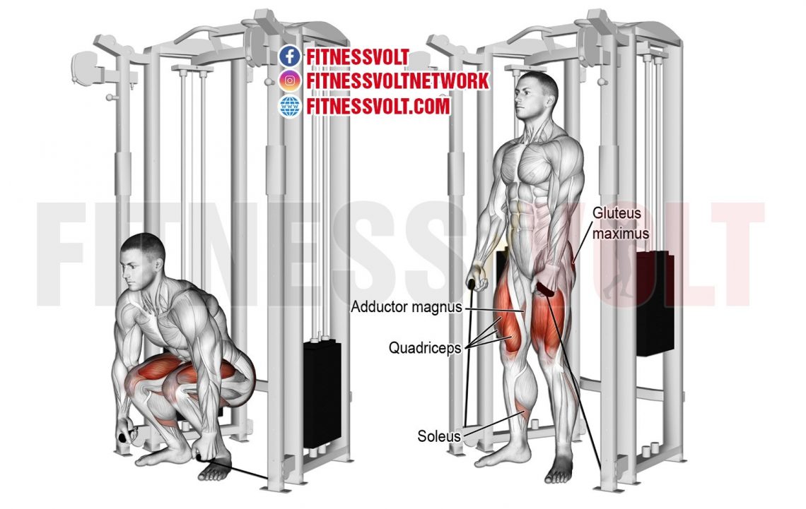 Cable Squat (Legs) Fitness Volt
