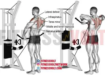 Cable Wide Grip Upright Row: Target Deltoids & Traps Effectively