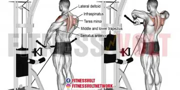Cable Wide Grip Upright Row: Target Deltoids & Traps Effectively