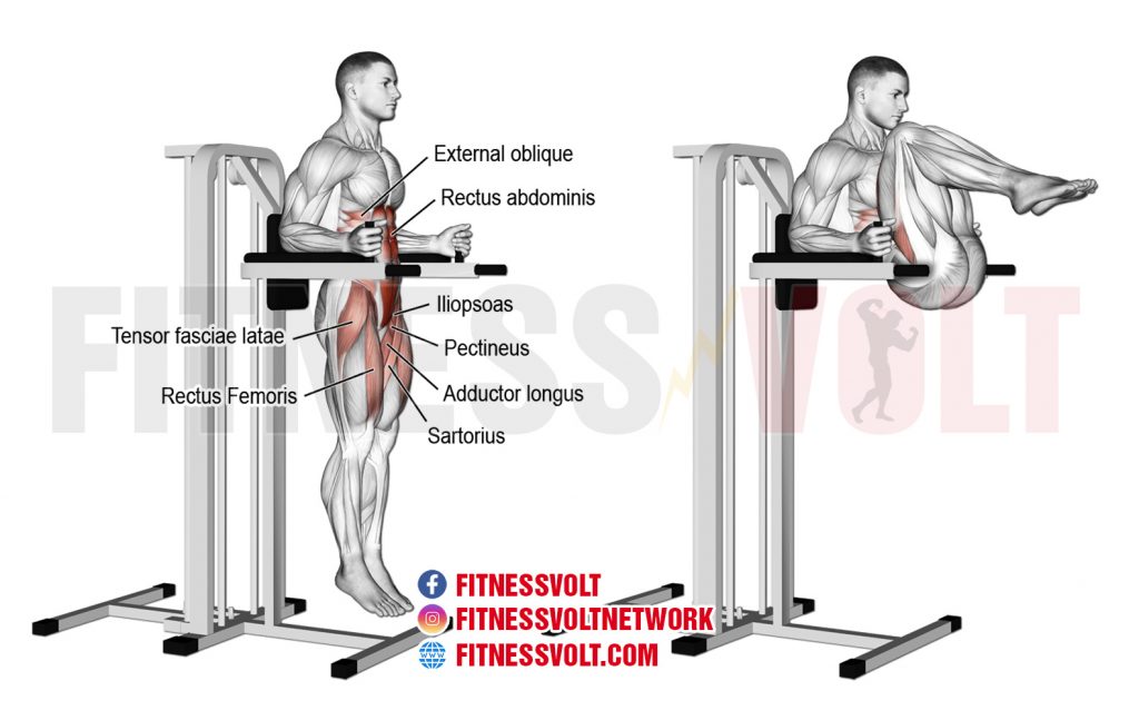 Captain’s Chair Leg And Hip Raise (Abdominals) Fitness Volt