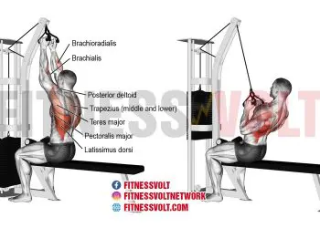 Master the Close Neutral Grip Lat Pull-down for Maximum Back Gains