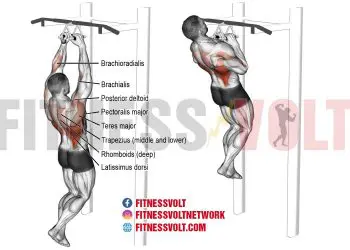 Close Neutral-Grip Pull-Up: Build Back and Arm Strength Fast!
