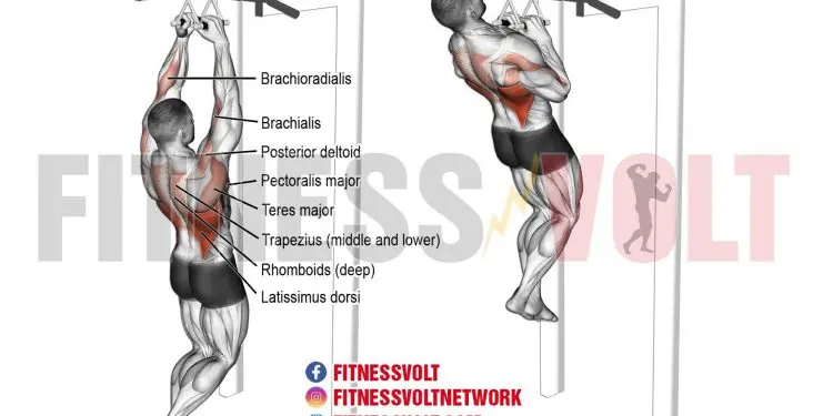 Close Neutral-Grip Pull-Up: Build Back and Arm Strength Fast!