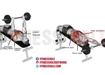 Master the Decline Barbell Pullover for Total Upper Body Gains