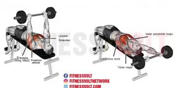 Master the Decline Barbell Pullover for Total Upper Body Gains