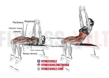 Ultimate Decline Sit-Up Guide: Target Your Abs & Hip Flexors