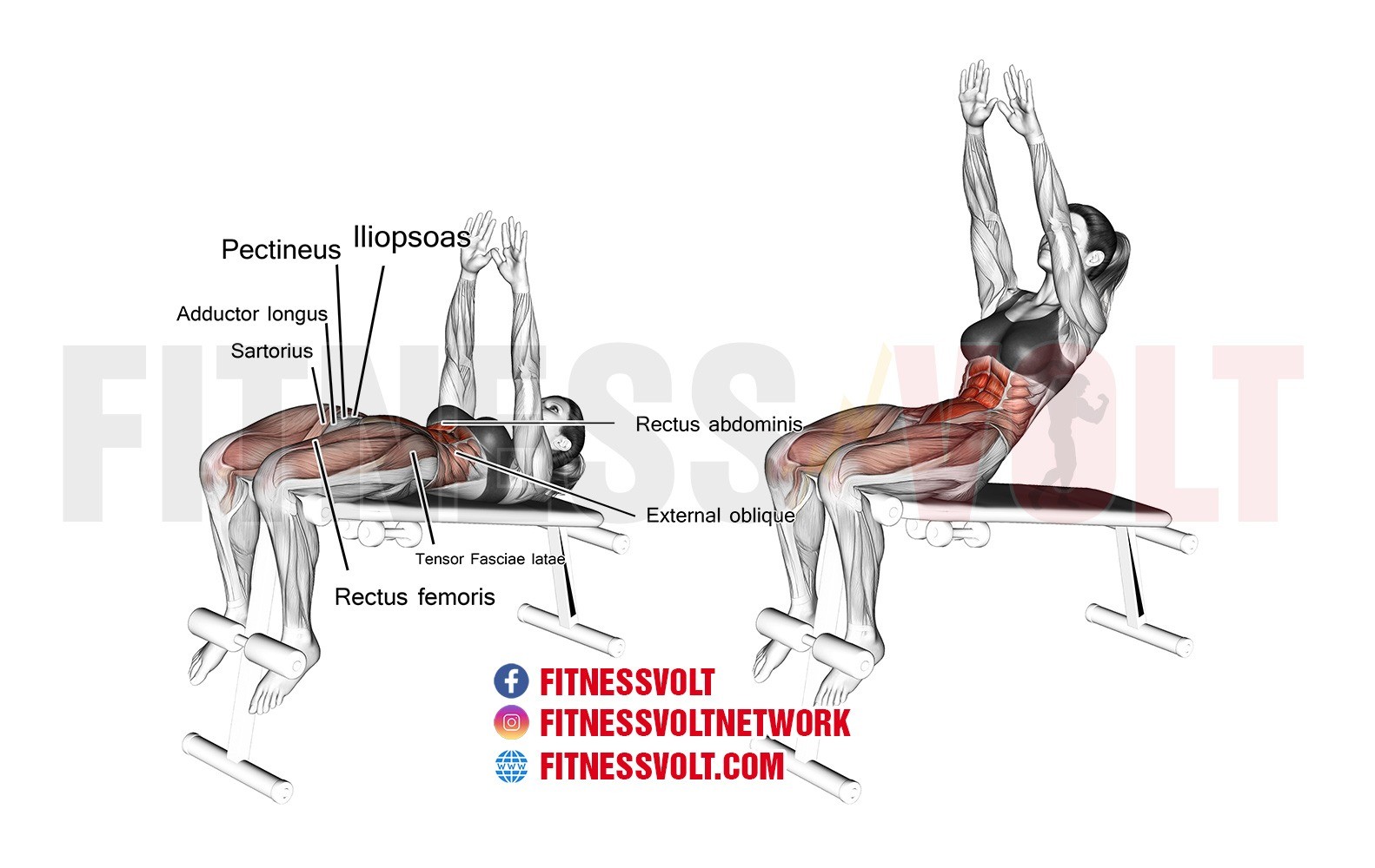 How to Do Sit-Up: Muscles Worked & Proper Form – StrengthLog