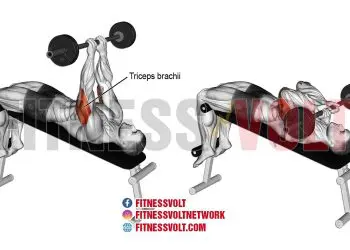 Decline Skull Crusher: Target Your Triceps for Maximum Gains