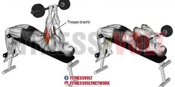 Decline Skull Crusher: Target Your Triceps for Maximum Gains