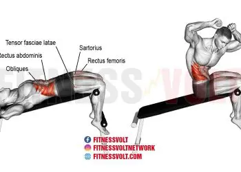 Decline Twisting Sit-up: Target Your Abs and Core Muscles!