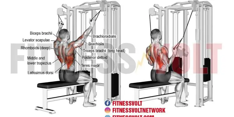 Double Cable Neutral-Grip Lat Pull-Down: Build Strong Lats!