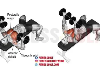 Dumbbell Bench- Press