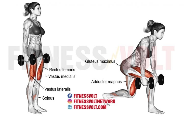 Dumbbell Forward-leaning Lunge (legs) – Fitness Volt