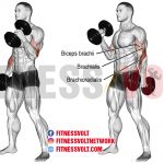 Dumbbell Hammer Curl