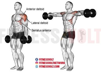 Dumbbell Lateral Raises: Build Strong Deltoids & More!