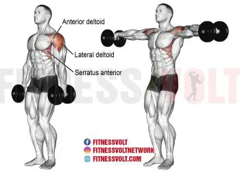 Dumbbell Lateral Raises: Build Strong Deltoids & More!