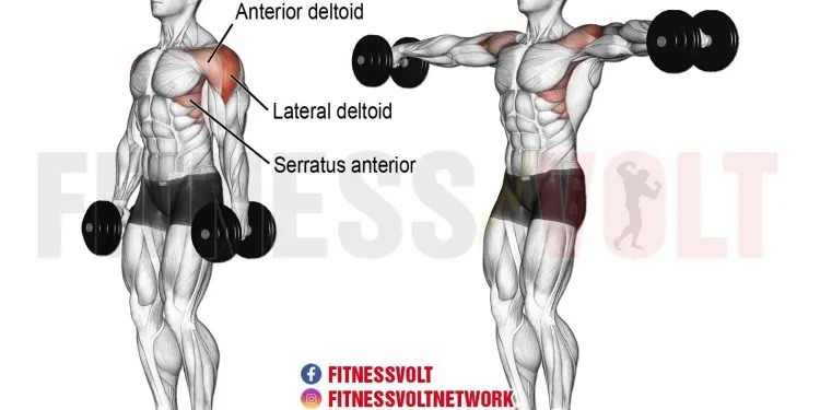 Dumbbell Lateral Raises: Build Strong Deltoids & More!